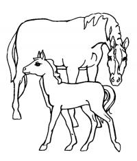 Лошадь и жеребенок Распечатываем раскраски цветы бесплатно