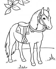 Домашняя лошадка Распечатываем раскраски цветы бесплатно