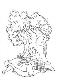 Алиса спит на краю дерева Раскраски с цветами распечатать бесплатно