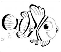 Полосатая рыбка из мультфильма в поисках нэмо Скачать новые раскраски цветы