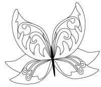 Узор бабочка Новые раскраски с цветами