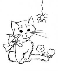 Котенок и паучек Для детей онлайн раскраски с цветами
