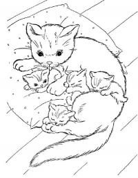 Кошка с котятами Для детей онлайн раскраски с цветами