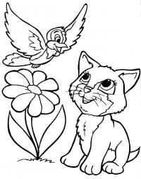 Котенок и птица Для детей онлайн раскраски с цветами