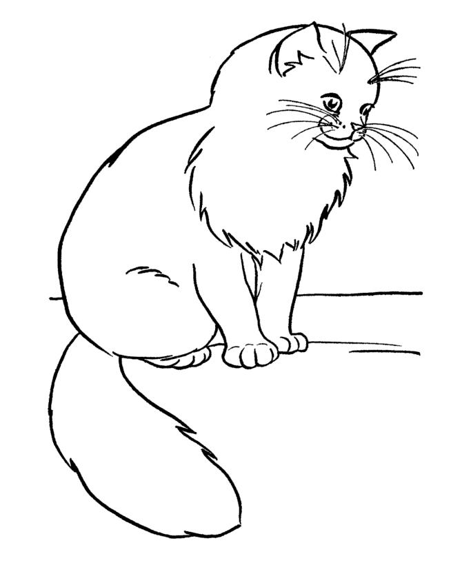 Кошечка Разукрашки цветы