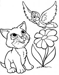 Котенок с птицей Для детей онлайн раскраски с цветами