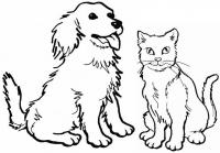 Взрослые кот и пес Для детей онлайн раскраски с цветами