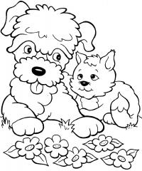 Пес и кот среди цветов Для детей онлайн раскраски с цветами