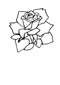 Цветы роза Раскраски с цветами распечатать бесплатно