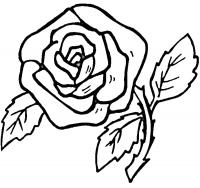 Цветок роза Онлайн бесплатные раскраски цветы