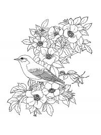 Цветы, птица Раскраски с цветами распечатать бесплатно