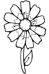 Цветок маленький Онлайн бесплатные раскраски цветы