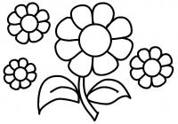 Цветы головки Раскраски цветы онлайн скачать и распечатать